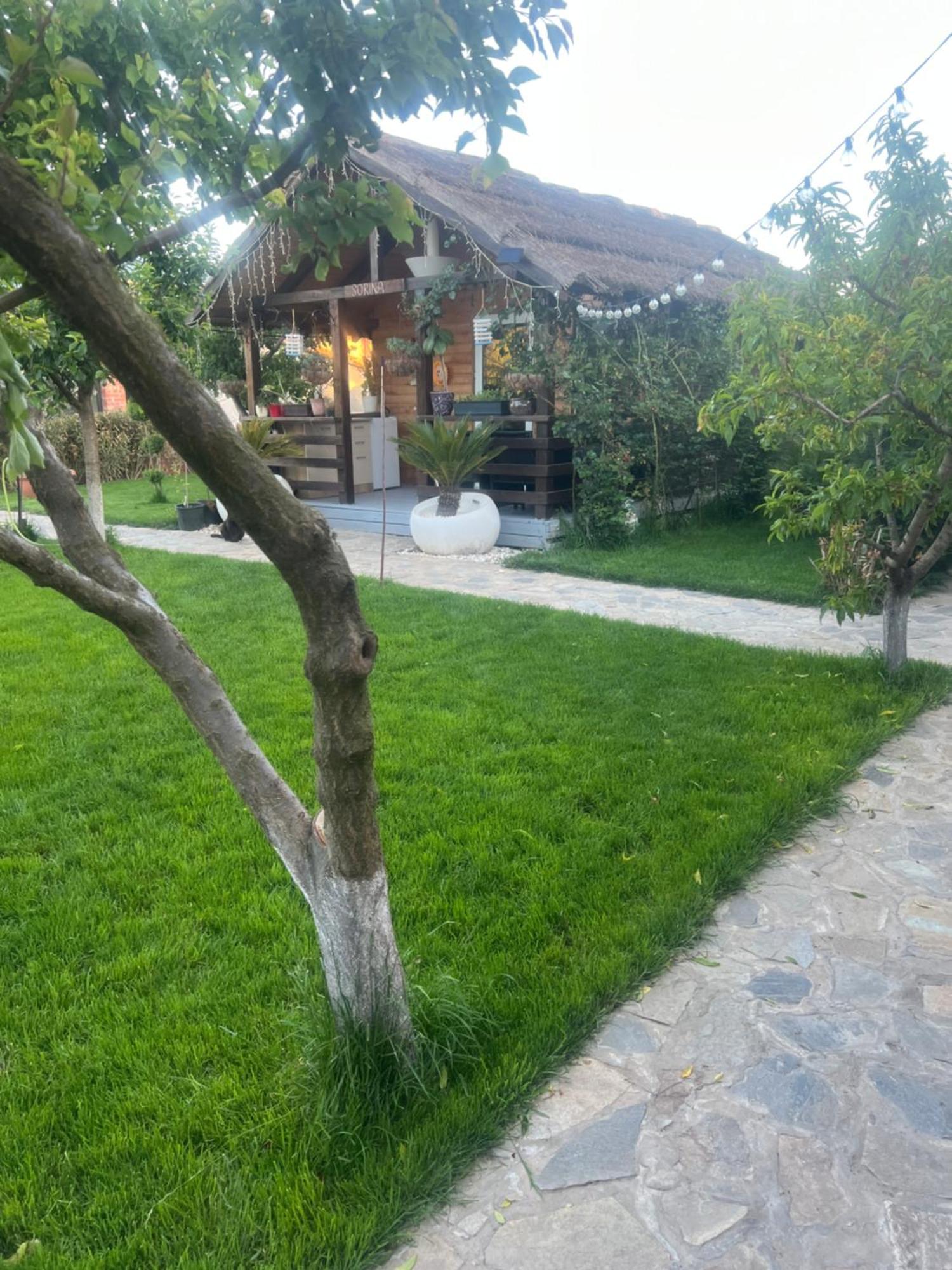 Cabana Sorina Corbu  Exterior foto